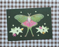 Moth Print