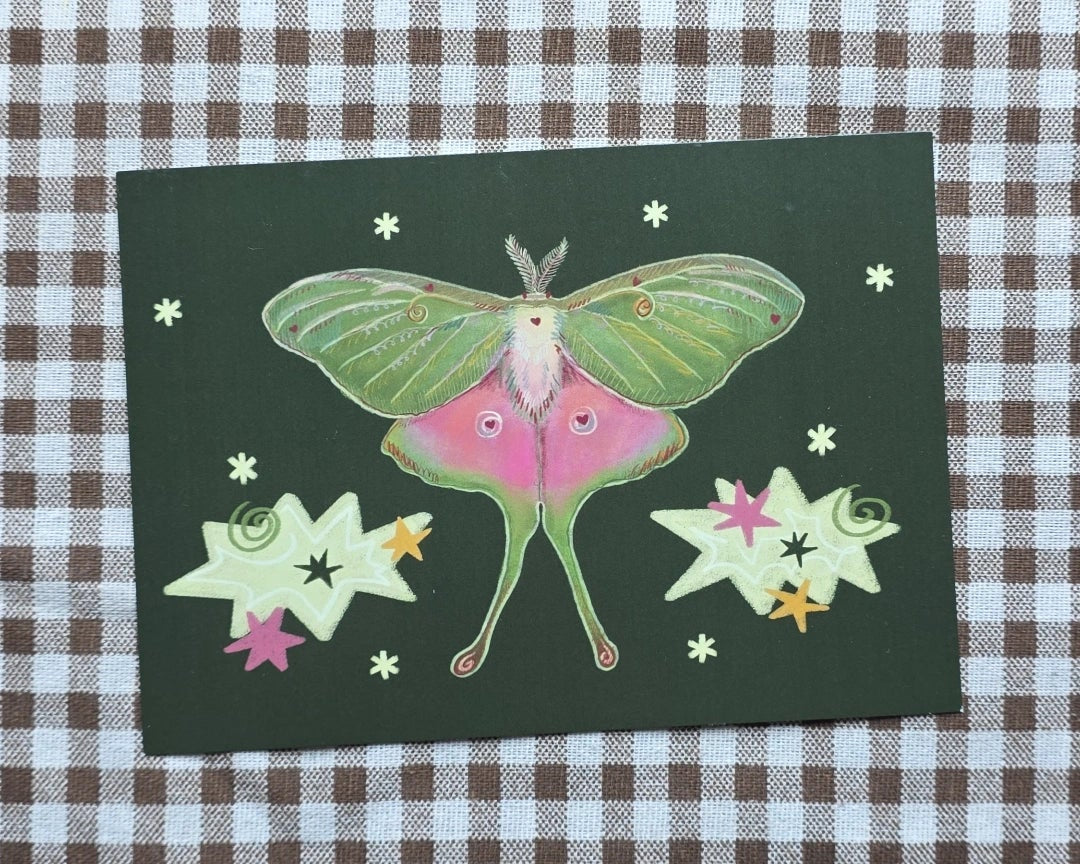 Moth